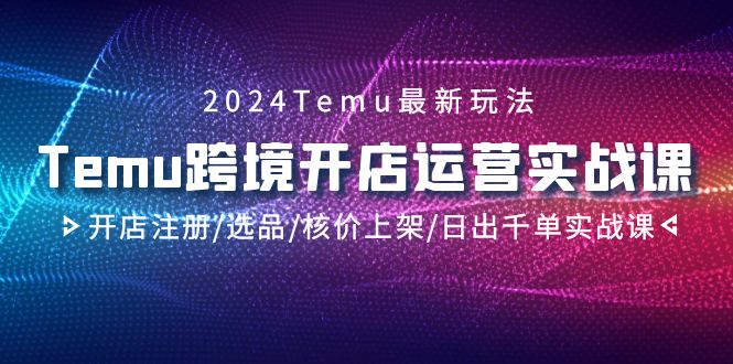 1709750257658894.jpg 2024Temu跨境开店运营实战课,开店注册/选品/核价上架/日出千单实战课