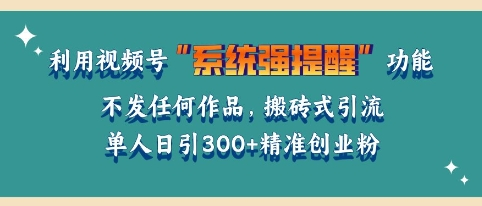 利用微信视频号系统提醒功能,引流精准创业粉,无需发布任何作品,单人单日引流300+创业粉
